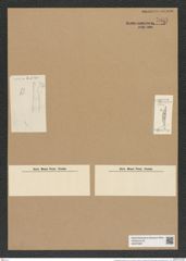 Eunotogramma productum Grun. (de-Toni-Nr.: Genus 128, Species 3570) Zeichnungen Sammlung Grunow Nr. 7057 (NHMW-BOT-W0375997)